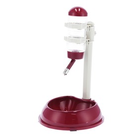 Pet Lift Drinking Fountain Food Automatic Feeding Dog Water Dispenser for Cats and DogsMaroon