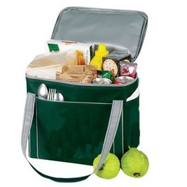 Yens® Fantasybag "eGREEN" 20-Pack Plus Cooler-Black,NCP-07