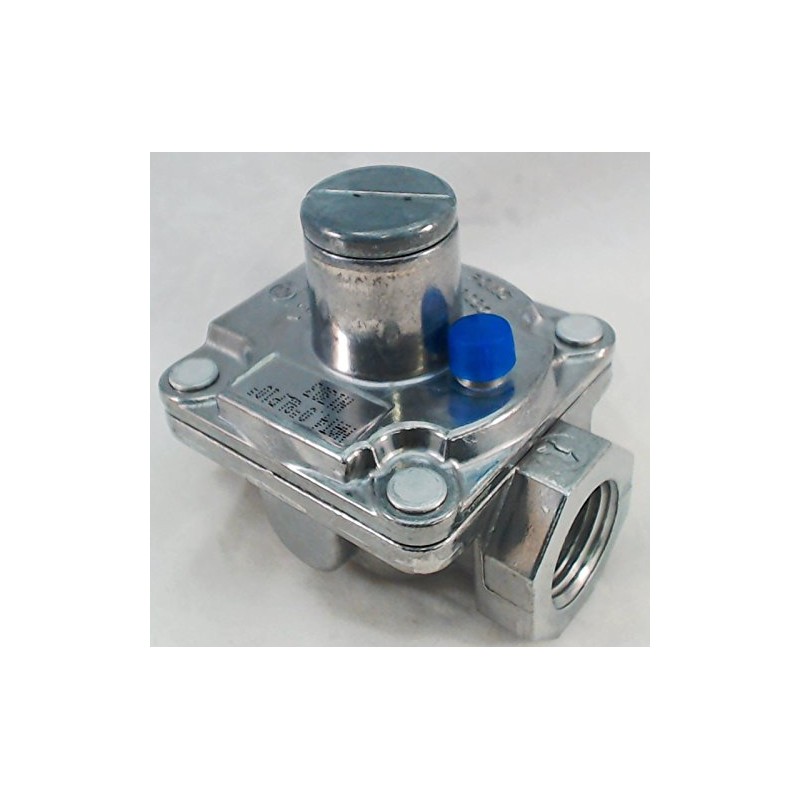 ERP PR1 Gas Pressure Regulator