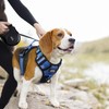 TwoEar Dog Harness, No Pull Reflective Harness Front Clip Easy