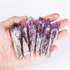 Erliway Raw Amethyst Crystal Point Sceptre, 2-2.7 Inch Natural Crystal