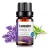 Liv Natural Aceite Esencial De Lavanda 100% Puro Uva Natural