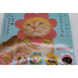 KITAN CLUB CAP FOR CATS BLIND BOX C2182