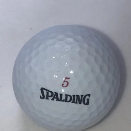 Spalding Hawaii Logo Golf Ball (1) Spalding New Without Box