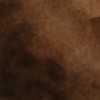 Concrete Resurrection Professional Easy to Apply Concrete Acid Stain-Black Walnut