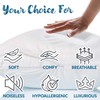 Guardmax, Bed Bug/Waterproof Zippered Pillow Protector, White , 24x24, 2