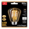 GLOBE Electric 60W Equivalent Soft White (2000K) Vintage Edison Dimmable