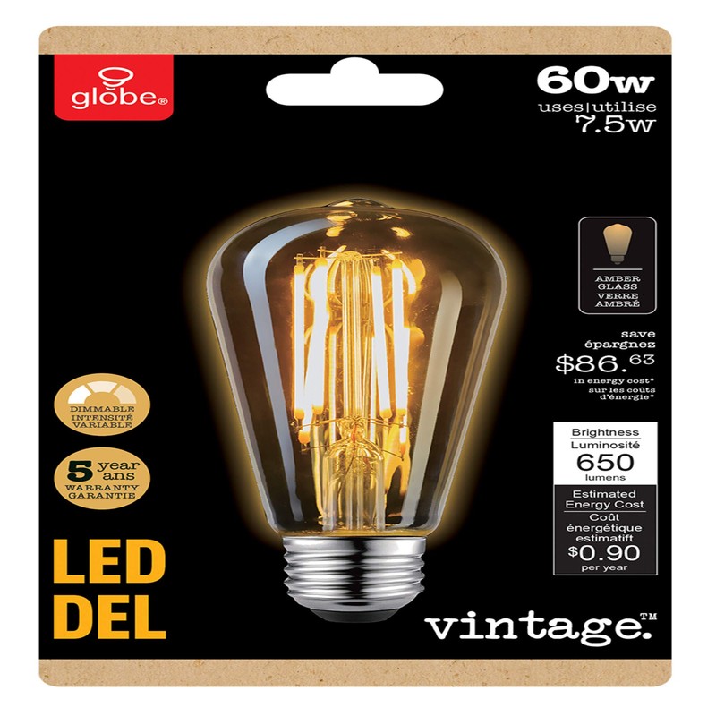 GLOBE Electric 60W Equivalent Soft White (2000K) Vintage Edison Dimmable
