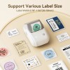 NIIMBOT B1 Label Maker Machine with Tape Portable Bluetooth Thermal