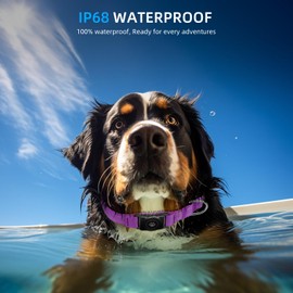 Upgraded AirTag Dog Collar, IP68 Waterproof Air Tag Dog Collar Holder, Reflective, Ultra-Durable, Comfortable Padded, Heavy Duty Dog Collars for Small Medium Large Dogs (L (14.8"-20.3"), Purple)