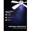 TALOYA Ceiling Fans with Lights and Remote, 46 Inch Low