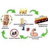 Weight Management Systems T6 Fat Incineration Capsules, 60-Count