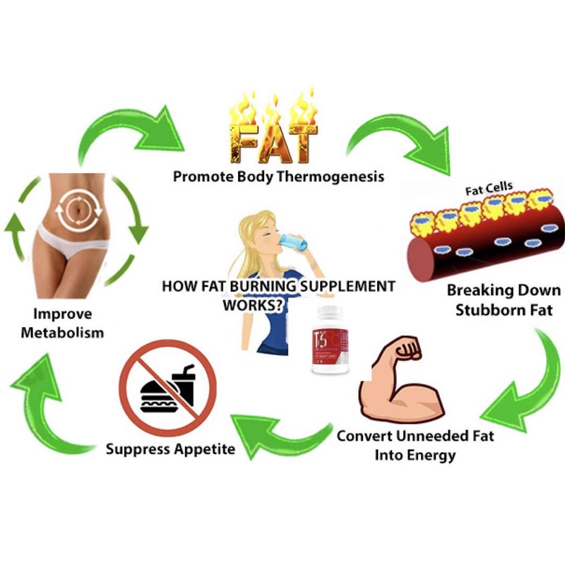 Weight Management Systems T6 Fat Incineration Capsules, 60-Count