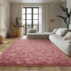 9x12 Ultra Soft Shag Area Rug for Living Room and