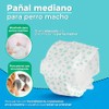 Fancy Pets Pañal para Perro Macho Tamaño Mediano con 12