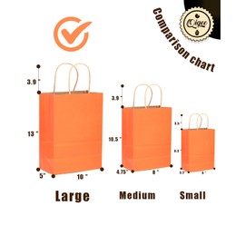 qiqee Large Kraft Paper Bags with Handles Bulk 13"x10"x5" 32-Packs Gift Bags 16 Different Senior Color Bags Multiple Uses（Large Size）