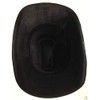 BR Zebra HAT Adult Cowboy Print Wild West Costume Party