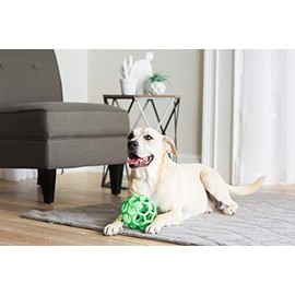 JW HOL-EE Roller Dog Toy