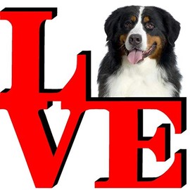 Bernese Mountain Dog Love Park Cute Dog Fridge Refrigerator Car Magnet