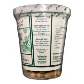 Ginkgo Biloba Ginkgo Prosa 150 Caps Sabor Sin Sabor