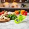 Green Multifunction Ginger Grater Tool Mini Grater Nutmeg Grinder Garlic,