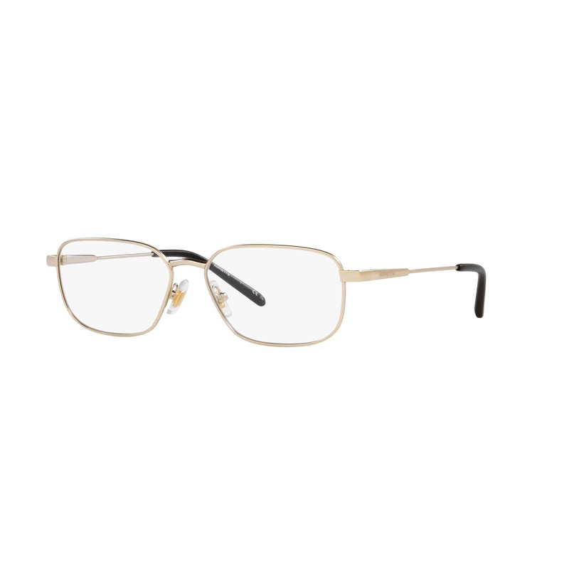 ARNETTE Eyeglasses AN 6133 751 Loopy-doopy Matte Light Gold