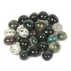 100 Grams Moss Agate Tumbled Polished Natural Crystal Healing Pocket Stones Rock Collection