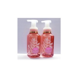 Pink Kiwi Berry Gentle & Clean Foaming Hand Soap, Full Size, 8.75 fl oz/259 mL each, Pack of 2 (Packaging May Vary)