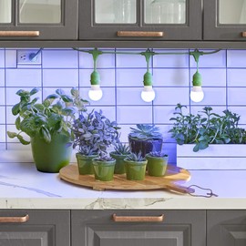 Miracle LED 609903 Kitchen Gardener 3-Socket LED Grow Light Bulb Kit with Blue Spectrum Starting AFE Bulbs