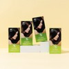 TS [Department Store] TS The Kinder Hair Dye - Choose