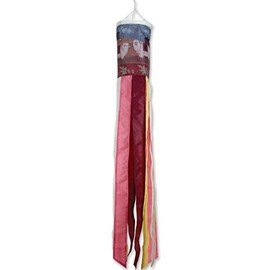 Premier Kites 78674 Brilliance Windsock, Country Homestead, 6 by 40-Inch