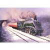 60022 Mallard BR A4 Railway Engine Locomotive Steam Train Christmas