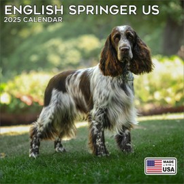 2025 English Springer Spaniel US Calendar - Dog Breed Wall Calendar - 12 x 24 Open - Thick No-Bleed Paper - 14 Month Planner Calendar Organizing & Planning