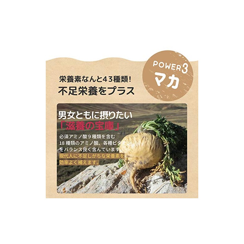 バイオサプリ ギュッ！としじみ オルニチン しじみ 牡蠣エキス マカ ビタミンB1 (90粒×6袋)