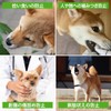 AllBright Dog Muzzle, Mouth, Wasted Barking, Picking, Biting, Licking, Walking,