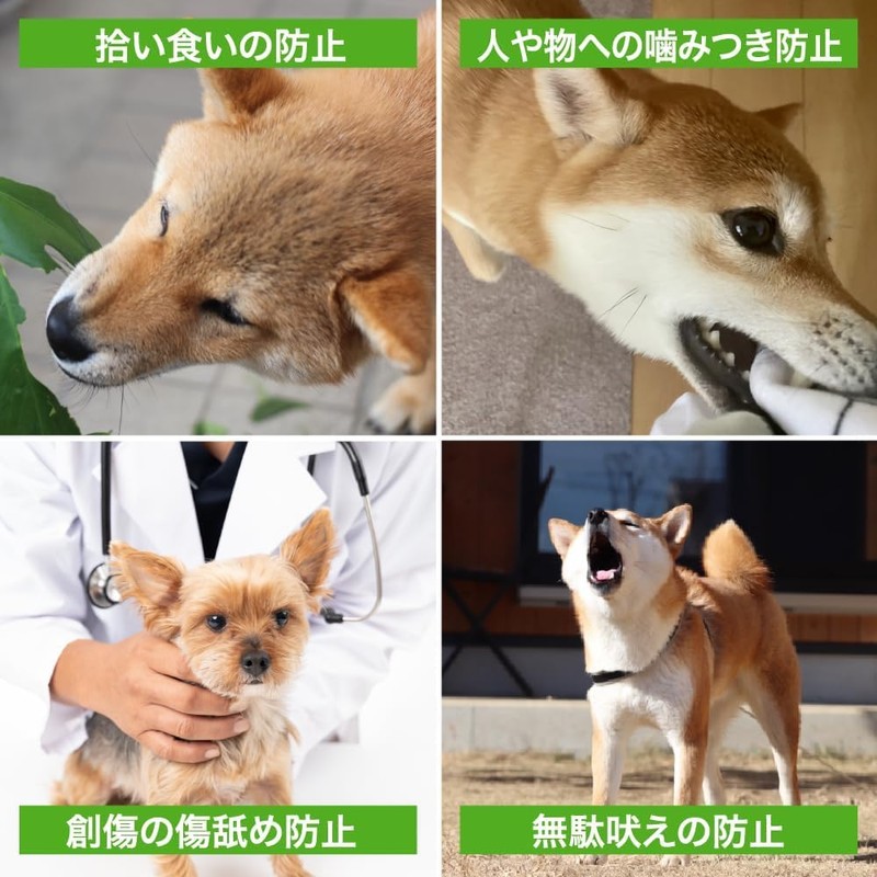 AllBright Dog Muzzle, Mouth, Wasted Barking, Picking, Biting, Licking, Walking,