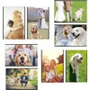 Magnetic Picture Frame, Magnetic Photo Frames for Refrigerator 4x6 inch,