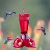Perky-Pet 403CP Pinch Waist Plastic Hummingbird Feeder, 8-Ounce , Red
