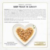 Purina Fancy Feast Gravy Lovers Poultry and Beef Grilled Gourmet