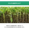 RIRAI Grafting Clips, Each Size, 30 Pieces (Total 90 Pieces),