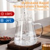 Glass Teapot with Stainless Steel Infuser, Borosilicate Tea Kettle, Clear