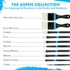 Princeton Aspen, Glare-Free Indoor/Outdoor Brush for Acrylic & Oil, Series