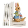Beatrix Potter Peter Rabbit Book Stop