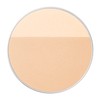 Integrate Gracy (インテグレート グレイシィ) Integrate Gracy Light Finish Powder UV