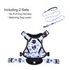 Petmolico No Pull Dog Harness and Leash Set, No Choke