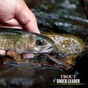 VARIVAS Trout Shock Leader Fluorocarbon 98.4 ft (30 m) No.