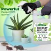 Mighty Mint Peppermint Oil Rodent Repellent Spray with Microfiber Cloth