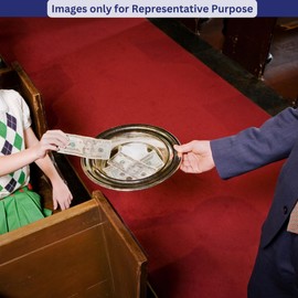 Mayur Exports Communion Ware | Communion Bowl | Church Collection Plate with Red Felt | Church Offering Plates | Church Donation Plate | Communion Supplies | Stainless Steel - Matte Gold Finish