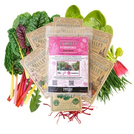 Hydroponic Garden Seed Assortment – 6 Variety Pack for Indoor & Outdoor Growing – Includes Radish, Swiss Chard, Arugula, Garlic Chives, Sorrel & Mustard – Non-GMO, Year-Round Greens