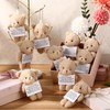 VioraWhite 20 Pcs Worry Bear Keychain Bulk with Hand Card